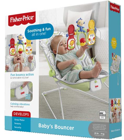 Fisher Price Baby Bouncer Geo Meadow   Best Educational  