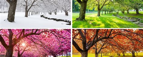 Do The Change Of Seasons Affect Depression Banyan Chicago