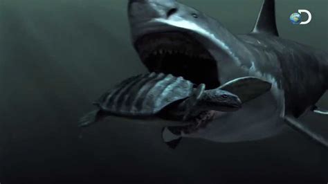 Carcharocles Megalodon - Giant shark attacks [Full Documentary