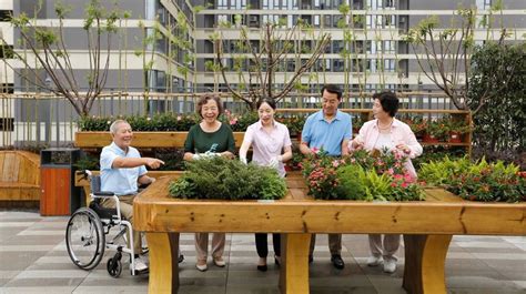 Yinian Rooftop Garden For Seniors Landezine International Landscape