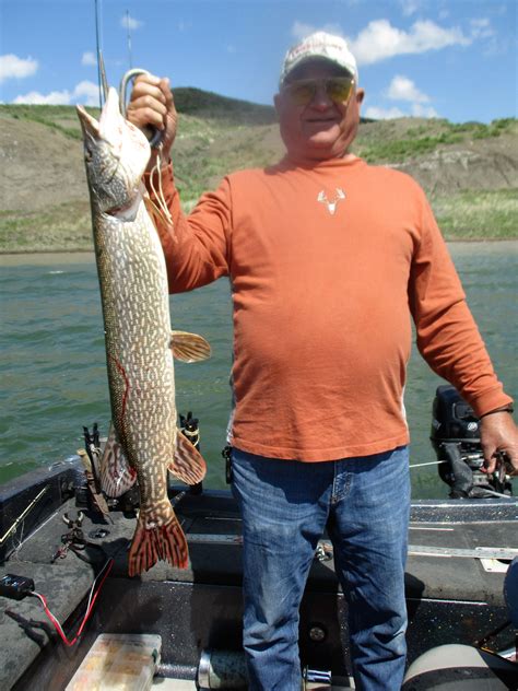 Bucky Billings Of Broadus With A 36″ 14 Pound Northern Pike Fort