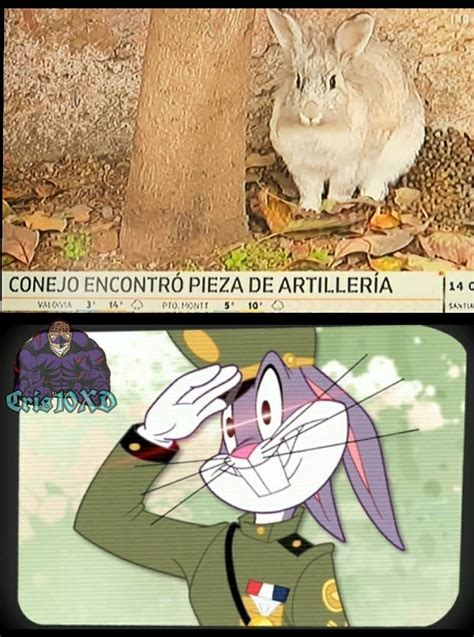 Communist bugs bunny, also known as soviet bugs bunny recently became a large meme. Bugs Bunny Diciendo No Meme Gif - Photos Idea