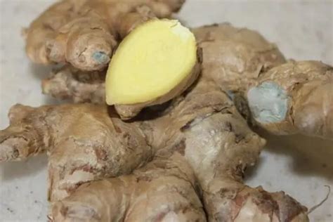 How To Tell If Ginger Is Bad The Ultimate Guide To Checking Ginger Quality Naznins Kitchen