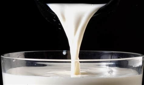 la súper leche luchará contra tumores y diabetes