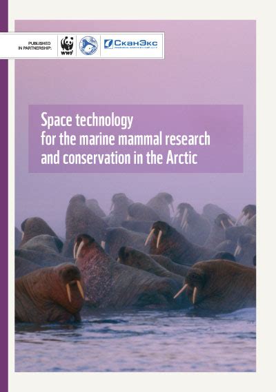 Space Technology For Marine Mammal Research And Conservation In The