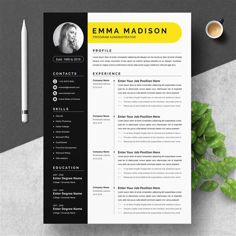 Clean And Modern Resume Template Word Illustrator Templates Creative