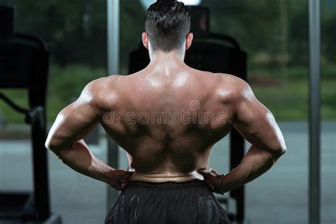 Male Bodybuilder Flexing Muscles Stock Photo Image Of Human