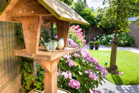 Maybe you would like to learn more about one of these? Was tun gegen Zecken im Garten - Die Top 10 Tricks!
