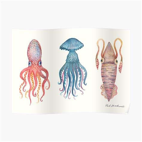 Poster The Octopus Jellyfish And The Squid Par Vladimirsart