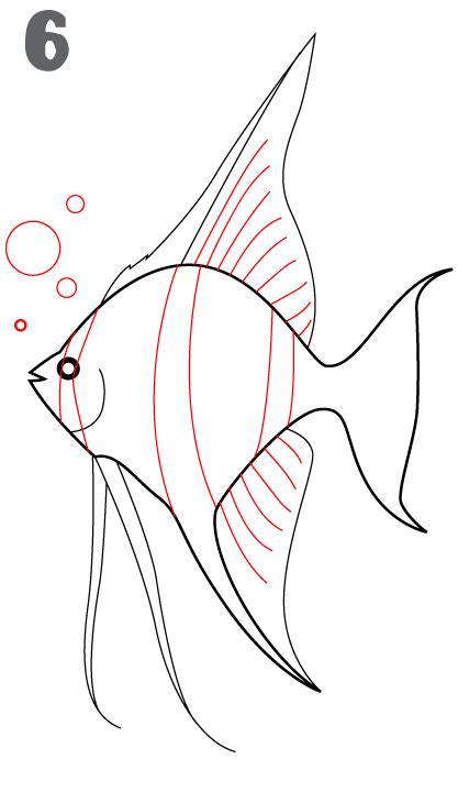 How To Draw An Angelfish Easy Drawing Tutorial