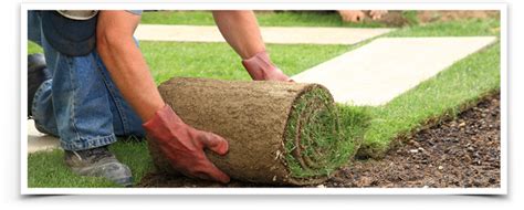 How To Hire The Right Landscape Contractor St Louis Strong Word