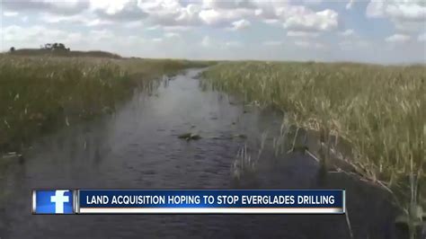 Florida To Buy 20000 Acres Of Everglades Land To Prevent Oil Drilling