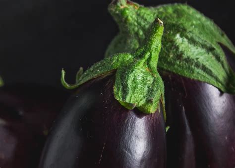Eggplant Color Scheme Image