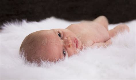 Portrait Of Baby Boy Laying On White Fur Blanket Stock Photo Image Of