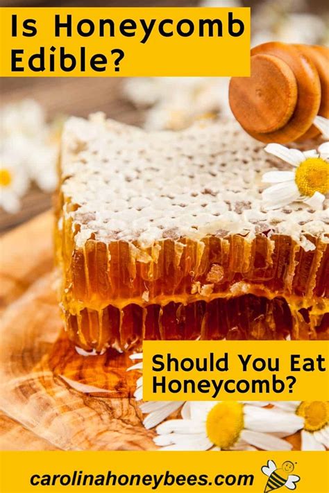 Is Honeycomb Edible Is It Safe To Eat Beeswax Carolina Honeybees