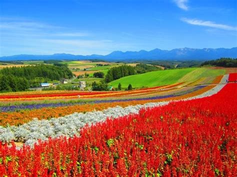 Bieihokkaido Beautiful Villages Landscape Photography Landscape
