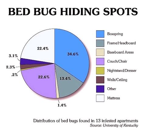 How To Avoid Find Get Rid Of Bed Bugs And Prevent Re Infestations
