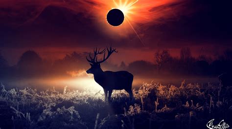 Deer Fantasy Art Hd Artist 4k Wallpapers Images Backgrounds Photos