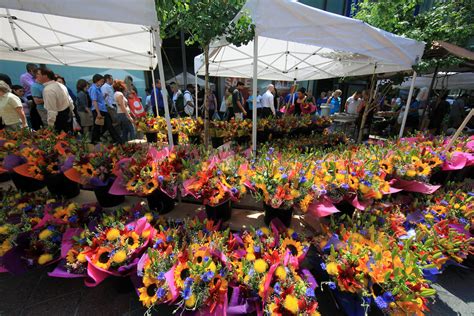 Market flowers is a one of a kind flower shopping experience in minneapolis, mn. Minneapolis farmers market on Nicollet mall - flower shop ...