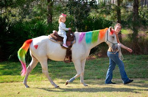 Horse Ride On Hire In Hyderabad For Event Birthday Party Jesvenues