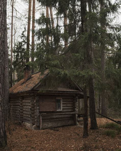 Foto Uma Cabana De Madeira Na Floresta Imagem De Rússia Grátis No Unsplash
