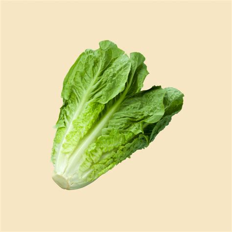 How To Regrow Lettuce？ Veggroom