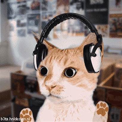 Cat Animated Gifs Kitty Dj Magnetic Stuff