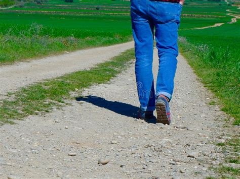 3351 Man Walking Country Road Stock Photos Free And Royalty Free Stock