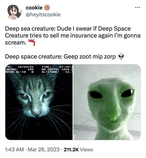 Aliens Meme Cat