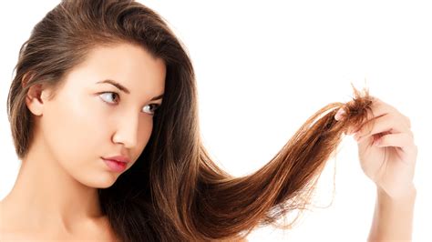 Split Hair Ends And Their Types How To Heal Them