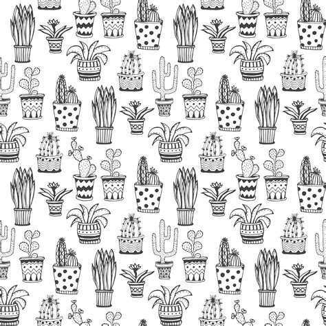 Black And White Cactus Wallpaper Zerkalovulcan