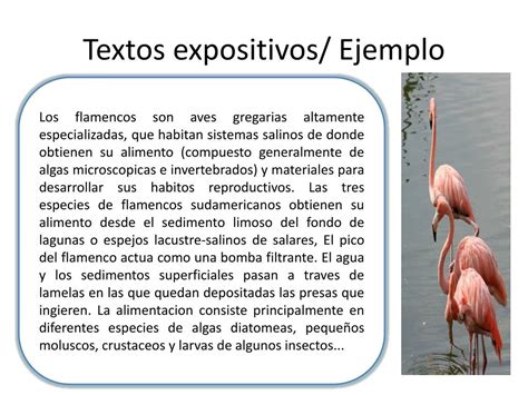 Texto Expositivo Ejemplos Para Secundaria Image To U