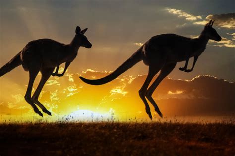 Die Top 10 Sehenswürdigkeiten Von Australien Franks Travelbox