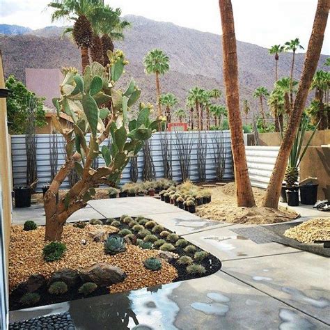 Top 70 Best Desert Landscaping Ideas Drought Tolerant