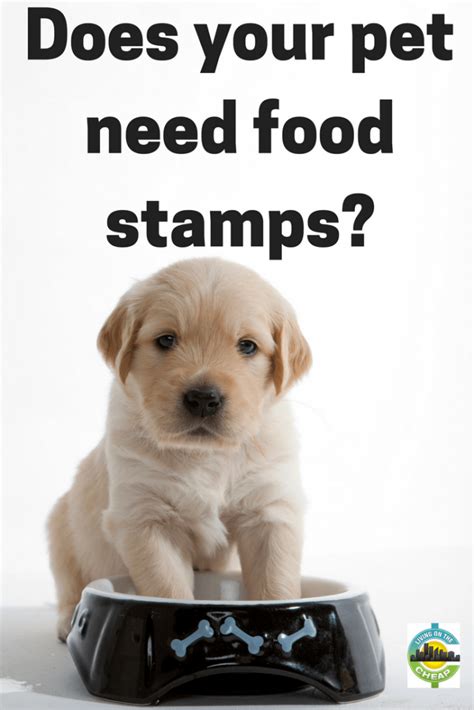 We did not find results for: Does your pet need food stamps? 4 resources for pet care ...