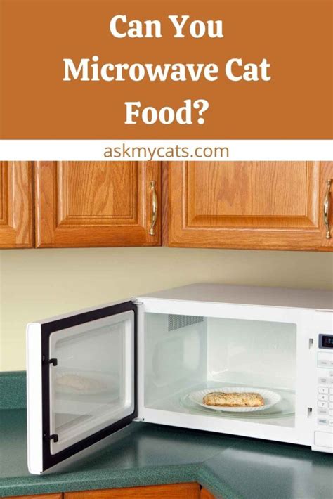 How To Warm Up Refrigerated Cat Food Can You Microwave Cat Food