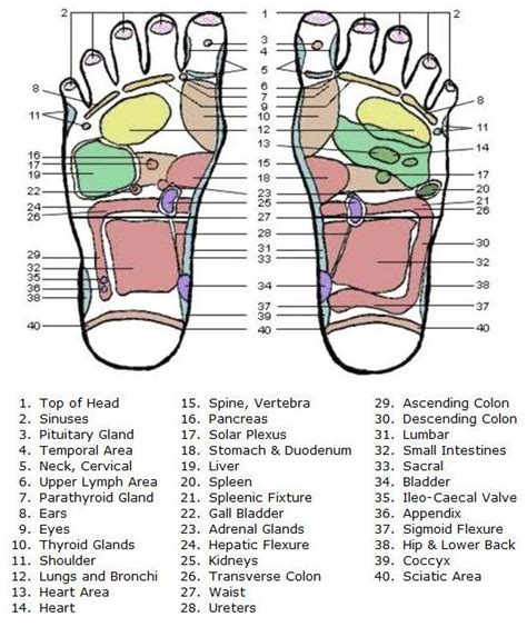 Foot Acupressure Points Reflexology Chart Acupressure Massage