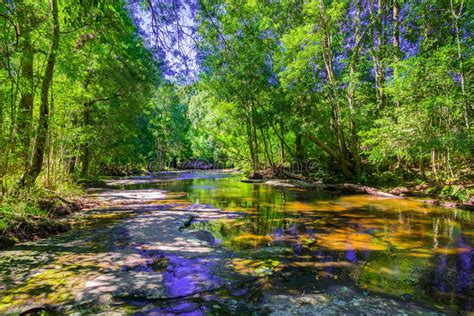 Beautiful Tropical Rainforest And Stream In Deep Forest Stock Image