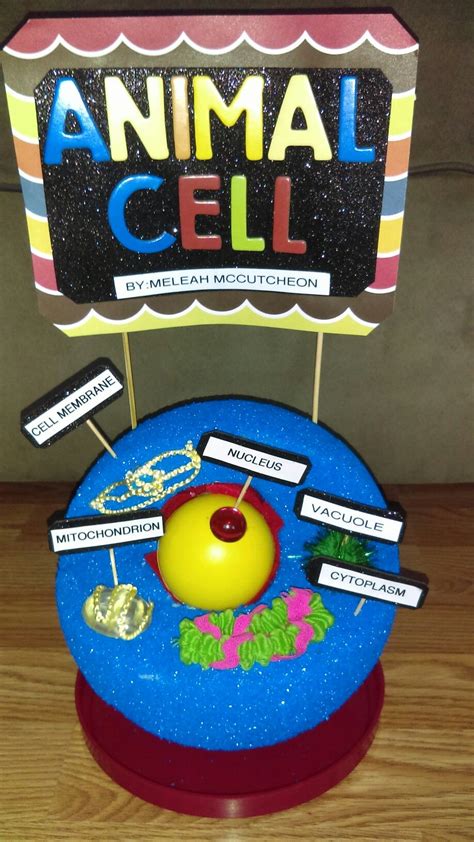 Plant and animal cells have parts called organelles that help them function and stay organized. Animal cell with 5 organelles 5th grade project. | Animal ...
