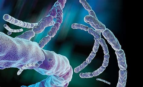 Bbi Solutions To Finalize Development Of Cdc Anthrax Diagnostic