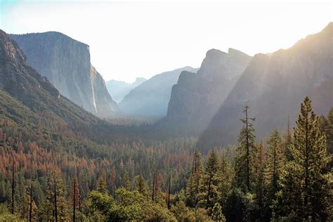 Sunrise On Yosemite Valley Photograph By Robert Carter Fine Art America