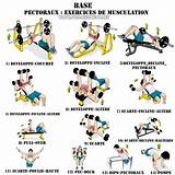 Basic Fitness Routine Pictures