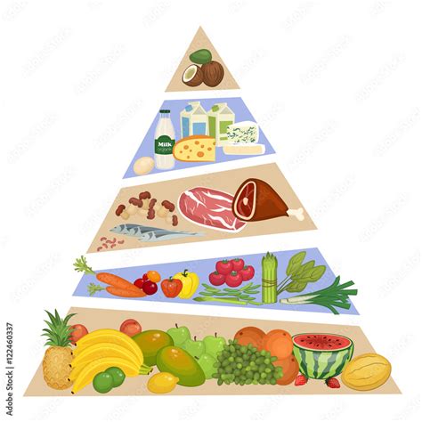 Vecteur Stock Food Pyramid Fruits Vegetables Meat And Fish Dairy