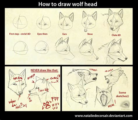 Wolf Head Tutorial By Nataliedecorsair On Deviantart Wolf Drawing