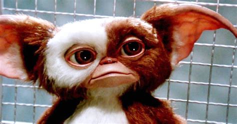 The prominent themes in this movie are love, courage, grace, and devotion to christ. Cinema Capitol presents 1984 film 'Gremlins' | Rome Daily ...