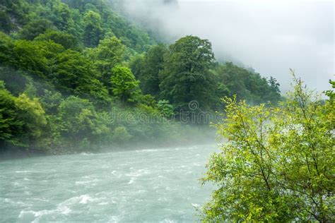 Mountain River And Forest In The Fog Over The River Stock Photo Image