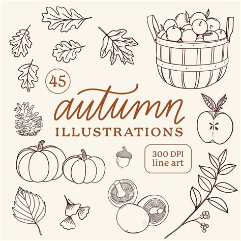 Autumn Illustrations Fall Harvest Line Drawings Clipart Png Pumpkin