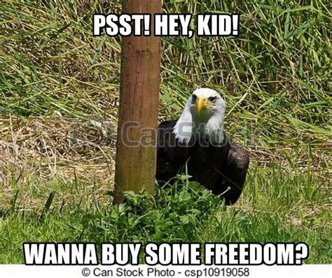 Pin By Dj Smelley On Merica Marines Funny Bald Eagle Picture Comments