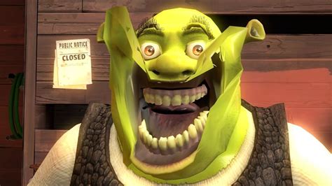 Shrek Is Love Shrek Is Life Original Sfm Cute Memes