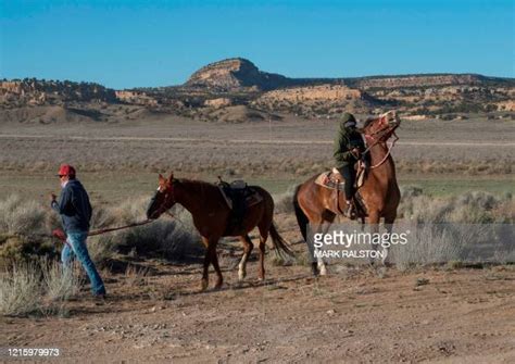 Navajo Country Photos And Premium High Res Pictures Getty Images